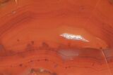 Bright Red, Polished Patagonia Agate - Argentina #214912-2